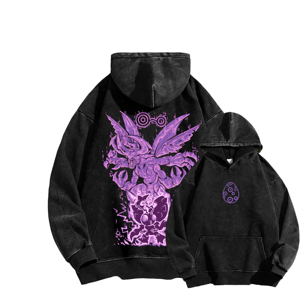 Digimon Unisex washed sweatshirts 2511015003