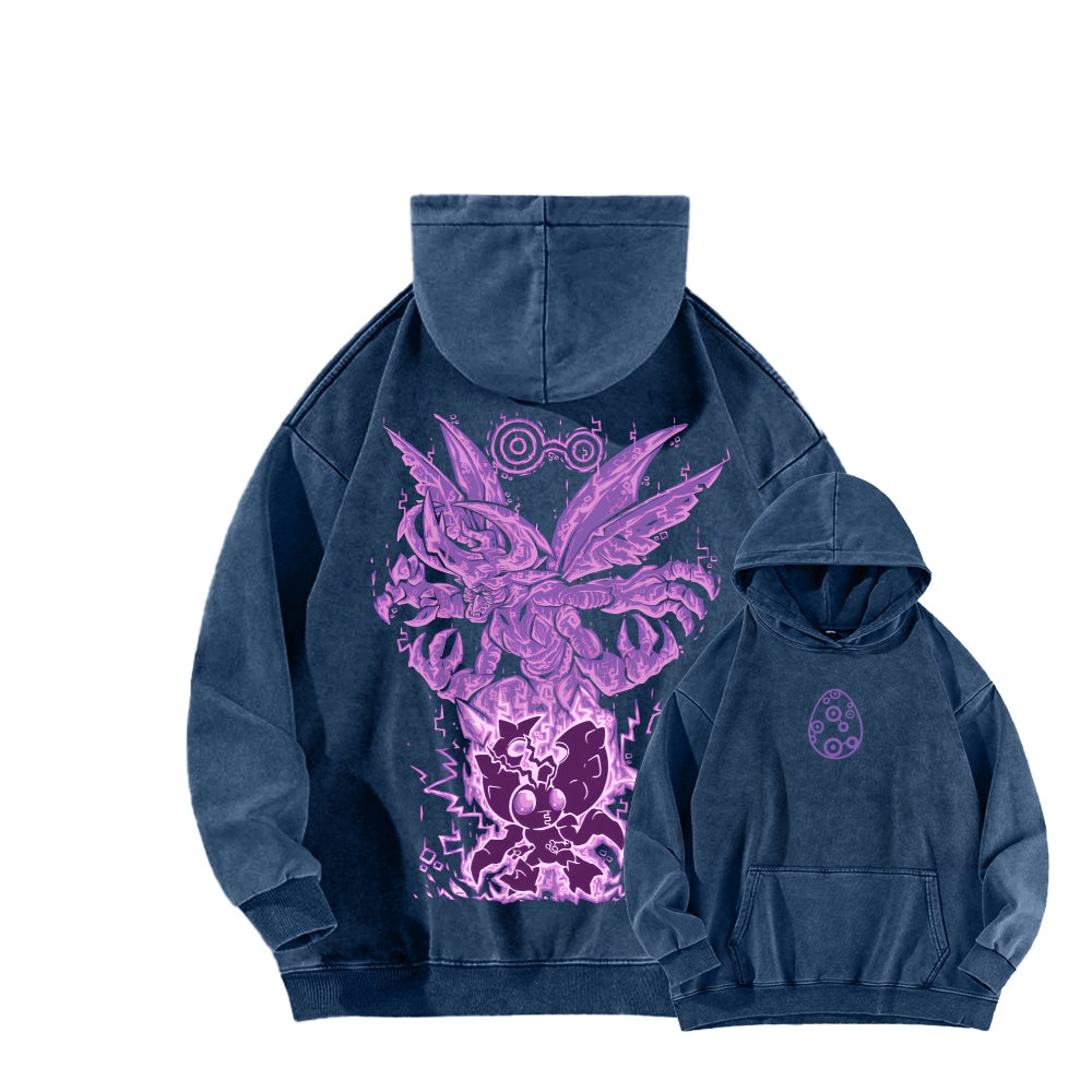 Digimon Unisex washed sweatshirts 2511015003