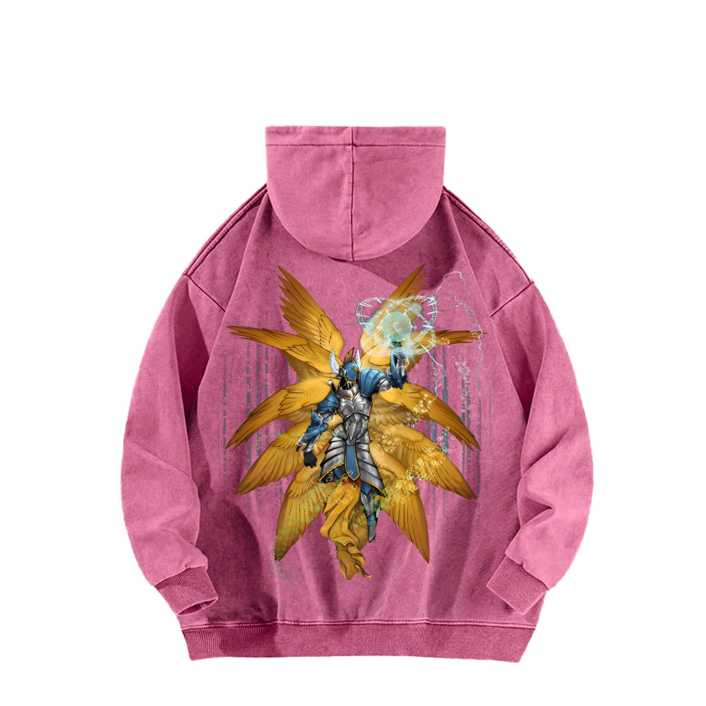Digimon Unisex washed sweatshirts 2511015013
