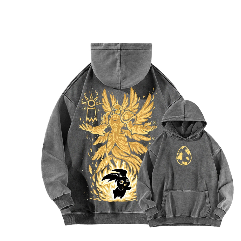 Digimon Unisex washed sweatshirts 2511015049
