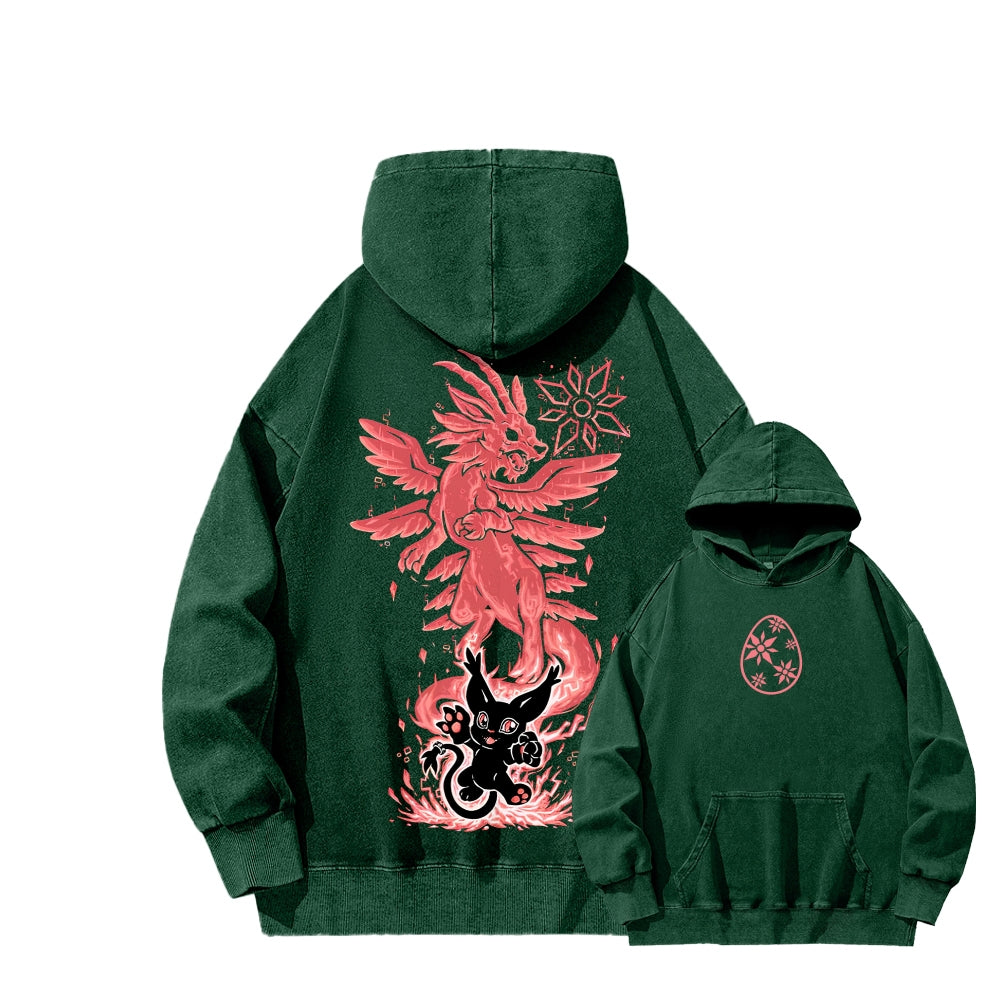 Digimon Unisex washed sweatshirts 2511015052