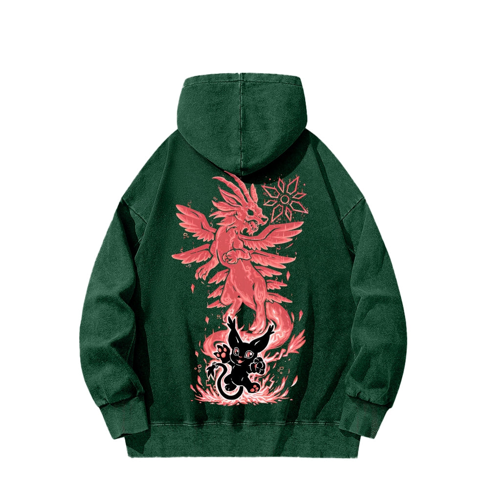 Digimon Unisex washed sweatshirts 2511015052