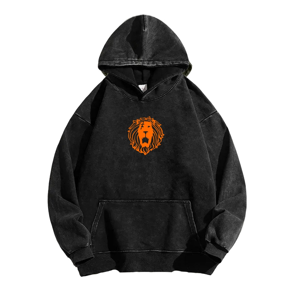 Seven Deadly Sins Unisex Washed Hoodie 2601002959