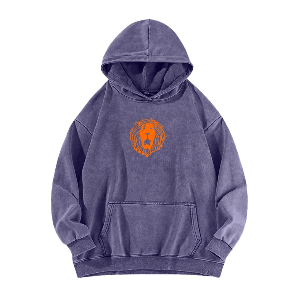 Seven Deadly Sins Unisex Washed Hoodie 2601002959