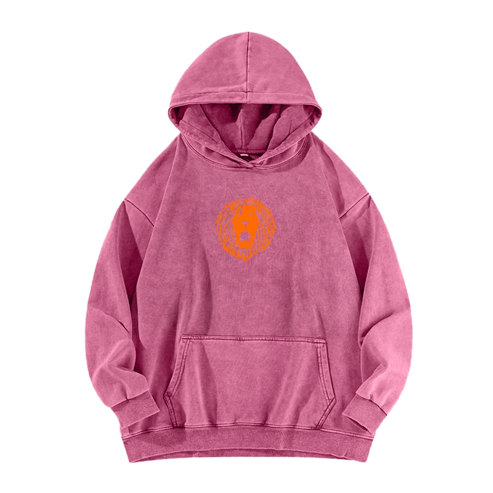 Seven Deadly Sins Unisex Washed Hoodie 2601002959