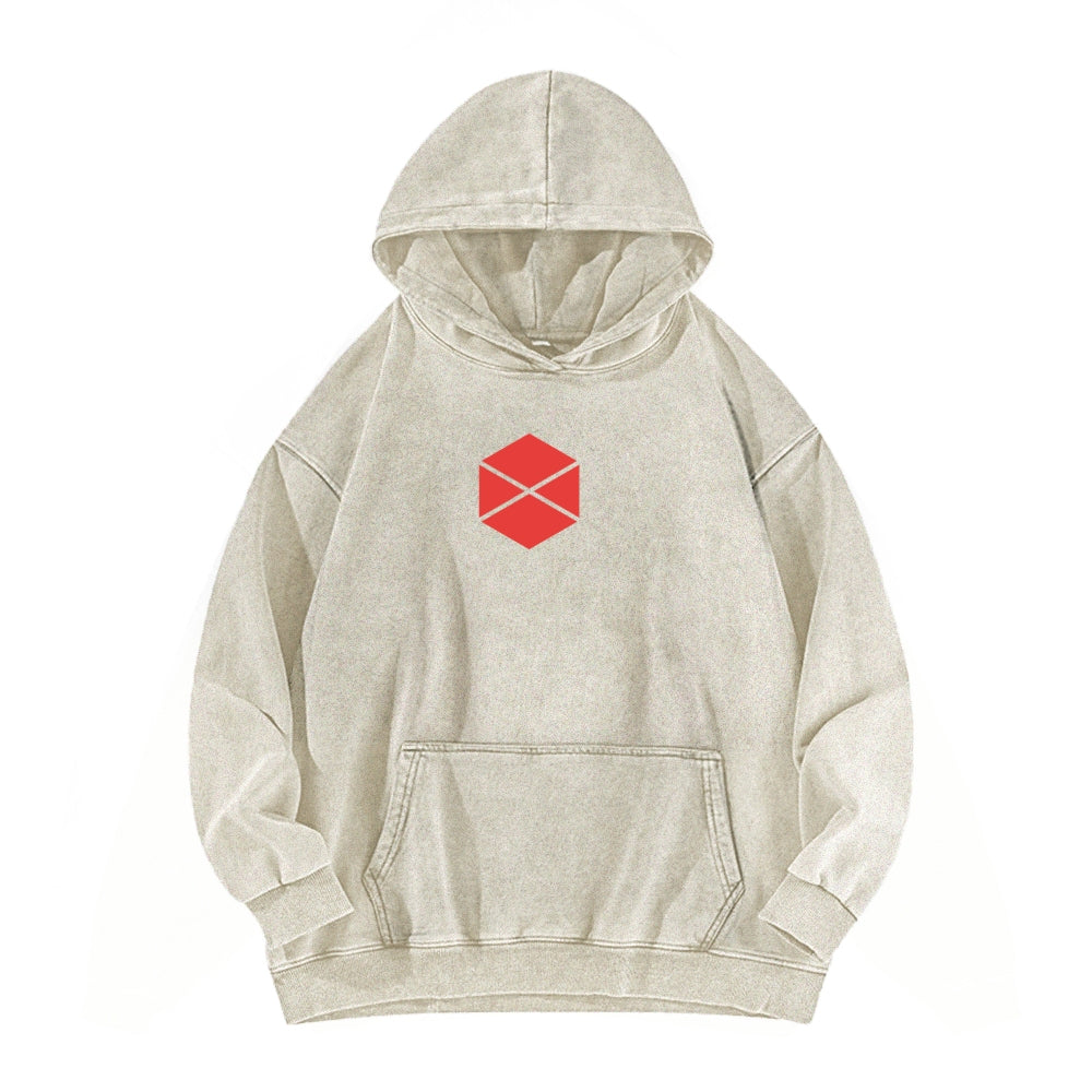 Destiny Unisex Washed Hoodie 2602003929