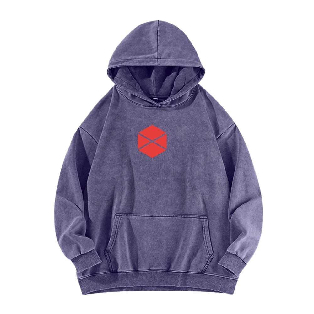 Destiny Unisex Washed Hoodie 2602003929