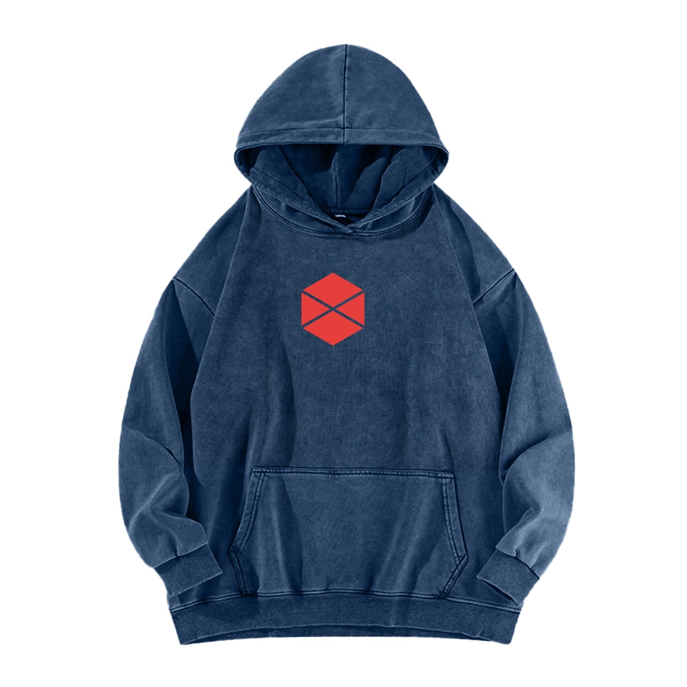 Destiny Unisex Washed Hoodie 2602003929